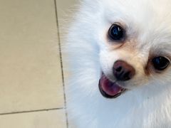 -怪兽屋·羊驼·猫咖·狗咖(俊华广场店)