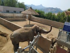-西霞口神雕山野生动物世界