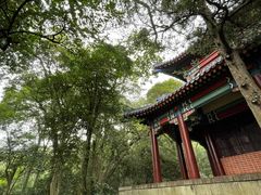 -灵谷景区