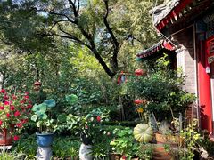 -白家大院·王府宫廷菜(苏州街店)