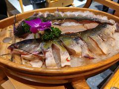 -吃城都·鱼蛙火锅(西玉龙街店)