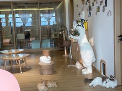 -猫腻·猫咖·撸猫馆(星光大道店)