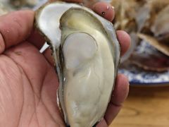 清蒸生蚝-匠心二十五年·百姓海鲜烧烤家常菜(威至海港湾店)