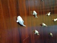 -一天好养生火锅·衢州人自己的火锅(阳光水岸店)