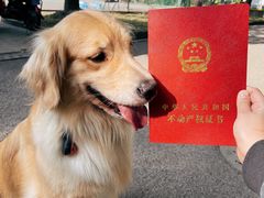 -房地产交易中心-停车场