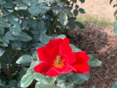 -人民公园(罗湖区)