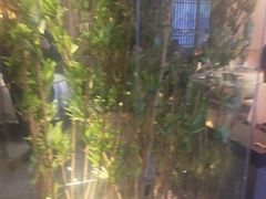 -马仕玖煲(北京东路店)