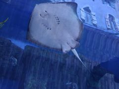 -华夏文旅西安度假区