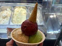 -极拉图·现制冰淇淋(大卫城店)