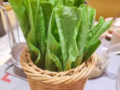 -羊来顺冰煮鲜羊铁锅烀羊肉(八卦岭店)