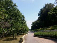 -宝安西湾红树林湿地公园