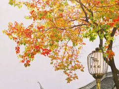 -棋盘山风景区