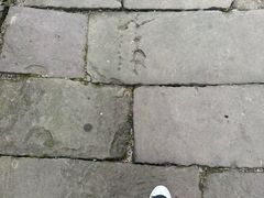 -涞滩古镇