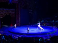 -珠海横琴长隆《卡卡虎奇遇记》