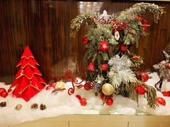 -行者书屋大堂吧 ·下午茶(南京圣和府邸酒店)