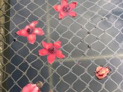-东风公园