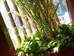 -无锡梁鸿湿地丽笙度假酒店·流觞西餐厅