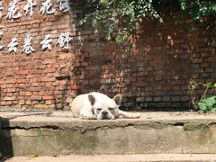 -姥家大锅台水库渔家