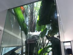 -IL Forno 意坊·意大利餐厅(花园店)