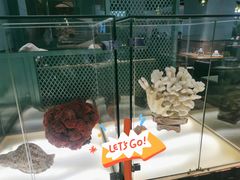-春润大地海南椰子鸡(沙井京基百纳广场店)