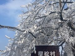 -紫金山山顶公园