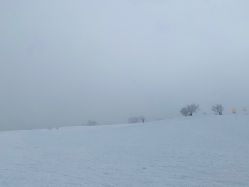 -大秃顶子山