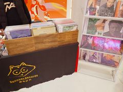 -浣熊唱片店(上海影城店)
