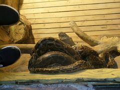 -西安秦岭野生动物园