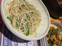 炒豆芽-铁公鸡·四川料理(天环广场店)
