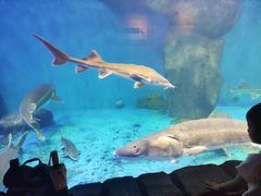 -多彩贵州城极地海洋世界