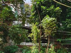 -小八仙·宴(三峡茶庄店)