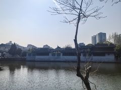 -水绘园