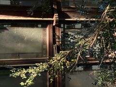 -复旦大学附属华山医院(总院)