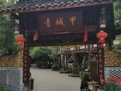 门面-青城甲(青城山店)