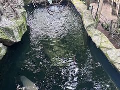 -青青世界