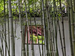 -秋霞圃