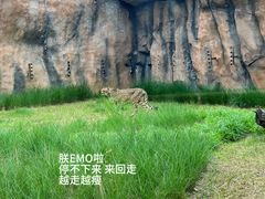 -武汉动物园