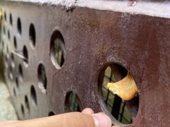 -昆明动物园
