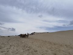 -玉龙沙湖景区
