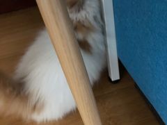 -美迦爱-牙专科·兔科·骨科诊疗中心(北苑店)