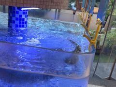 -后湖小院·乡野田园菜