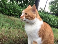 -杭州萧山国际机场