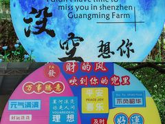 -光明农场大观园