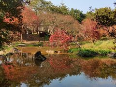-田野绿世界