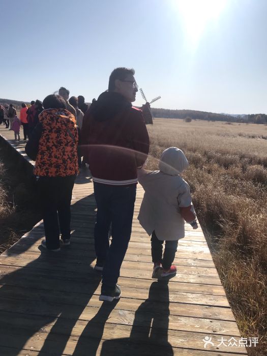 塞罕坝国家级自然保护区图片