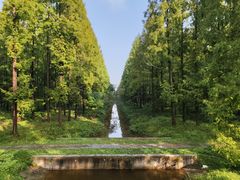 -黄海国家森林公园