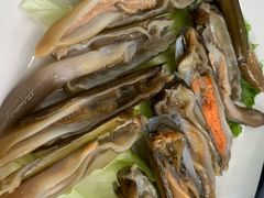 圣子王-蚝专家