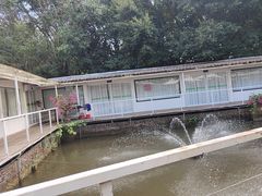 -芭厘农庄老字号·清远鸡