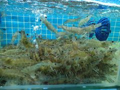 -覃记海鲜美食餐厅