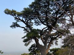 -香山公园
